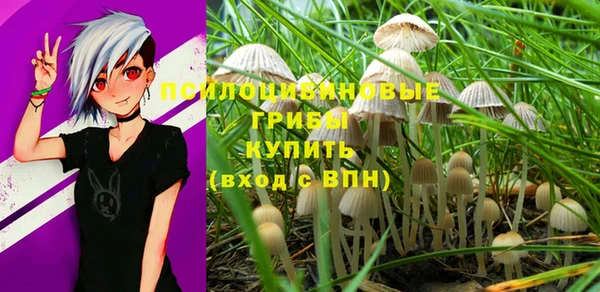 спайс Абинск
