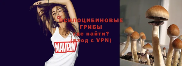 a pvp Абаза