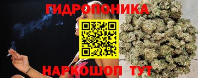 СК Старая Купавна