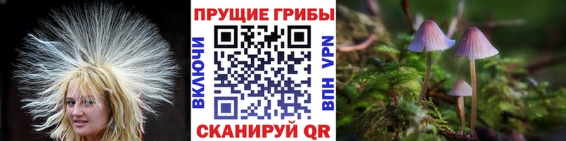 Галлюциногенные грибы прущие грибы  Морозовск 