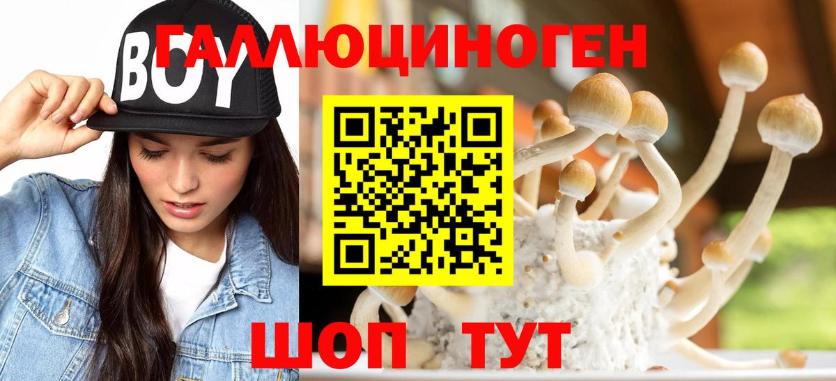 Морозовск  Галлюциногенные грибы Magic Shrooms  Вход с VPN  Галлюциногенные грибы MAGIC MUSHROOMS 