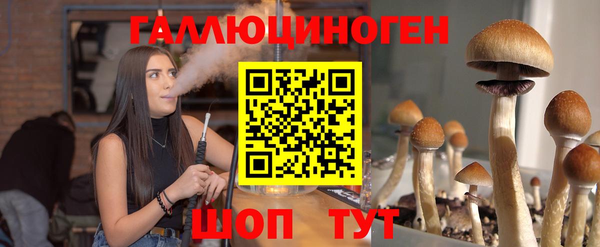 Псилоцибиновые грибы мухоморы Морозовск
